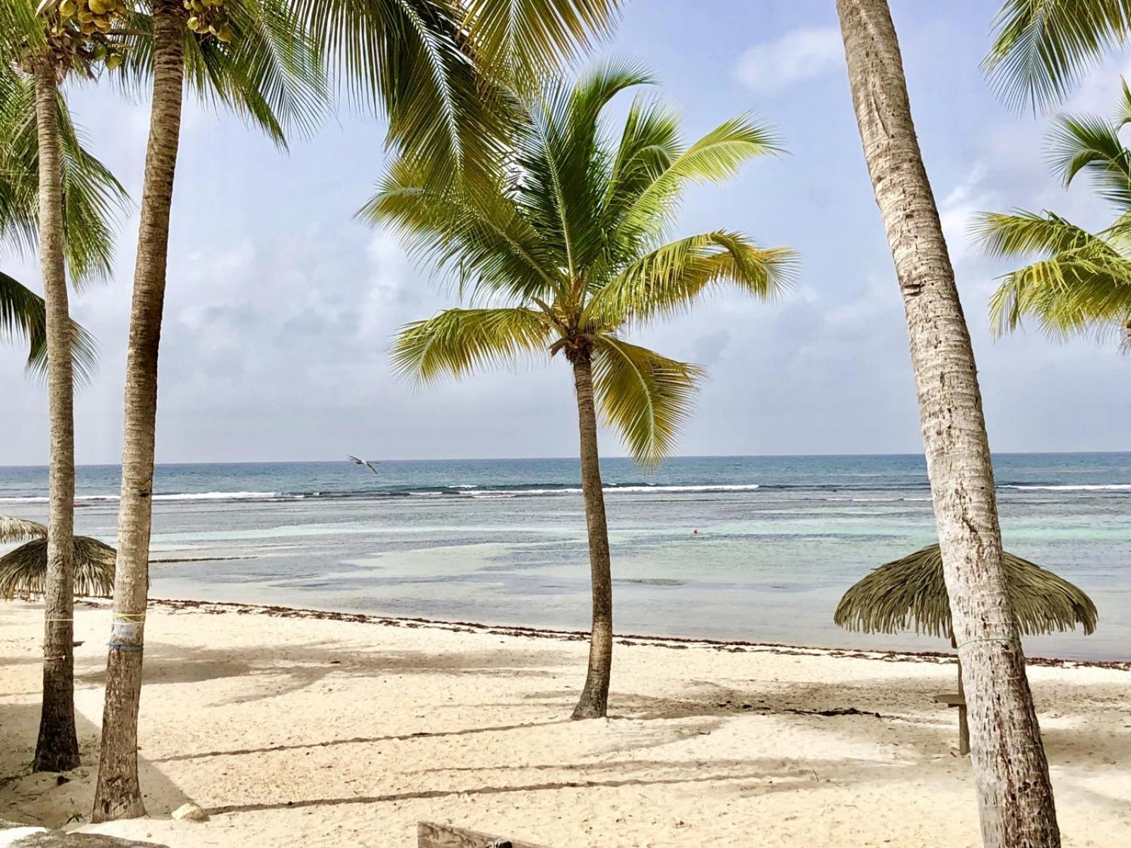Guadeloupe- Saint-Francois- Residence Anse Des Rochers - Appartement Quart De Villa Etage - Vue Mer- 4 Personnes - Lit Bebe Sur Demande - Citerne Et Wifi Prives -Animaux Ok-Acces Plage Direct -Apnee Bien-Etre Experience Sur Demande Avec Instructeur A Esterno foto